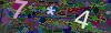 captcha-1785305577