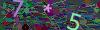 captcha-1785344152