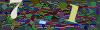 captcha-1785350481