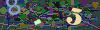 captcha-1785354236