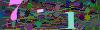 captcha-1785440874