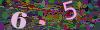 captcha-1785447717