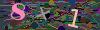 captcha-1785458976