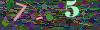 captcha-1785494035