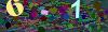 captcha-1785505649