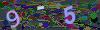 captcha-1785516714