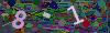 captcha-1785521365