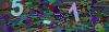 captcha-1785545091
