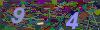 captcha-1785568224