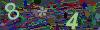 captcha-1785570178
