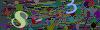 captcha-1785787756