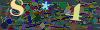 captcha-1785802850