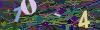 captcha-1785806417