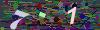 captcha-1785828029