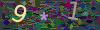 captcha-1785899753
