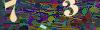 captcha-1785952733