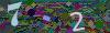 captcha-1785992781