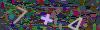 captcha-1786009044