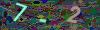 captcha-1786063572