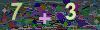 captcha-1786173327