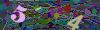 captcha-1786323909