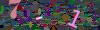captcha-1786570993