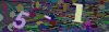 captcha-1786583436