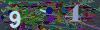 captcha-1786592793