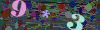 captcha-1786656953