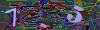 captcha-1786755207