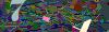 captcha-1786778727
