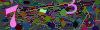 captcha-1786825304