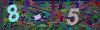 captcha-1786883037