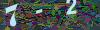 captcha-1786898271