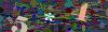 captcha-1786899880