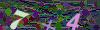 captcha-1786933167