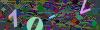 captcha-1787022237