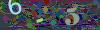 captcha-1787025166