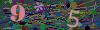 captcha-1787027230