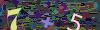 captcha-1787111440
