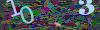 captcha-1787128482