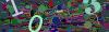 captcha-1787161598