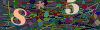 captcha-1787206984
