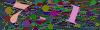captcha-1787219819
