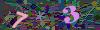captcha-1787245187