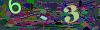 captcha-1787457975