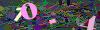 captcha-1787594356