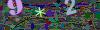 captcha-1787672171