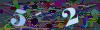captcha-1787707934