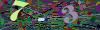 captcha-1787794305
